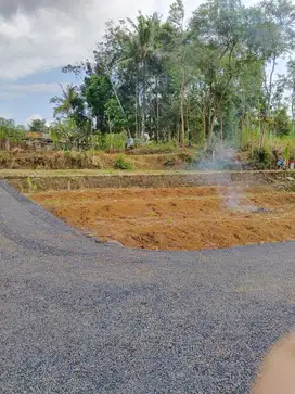 Tanah murah akses mobil karang nanas