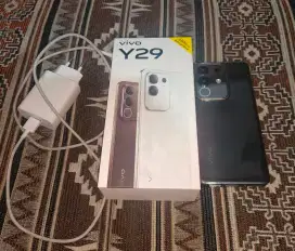 HP Vivo Y29 8/256