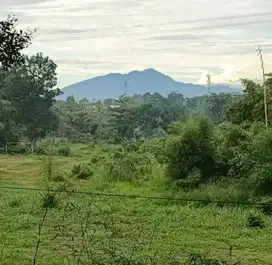 Tanah Cocok Untuk Bangun Perumahan di Jalan Raya Arco, Tajur, Bogor