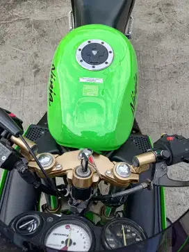 Kawasaki Ninja 150 RR