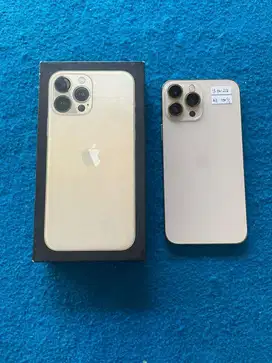 Iphone 13 Pro Max 256gb