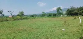 Tanah KAV 1000 M Cileungsi