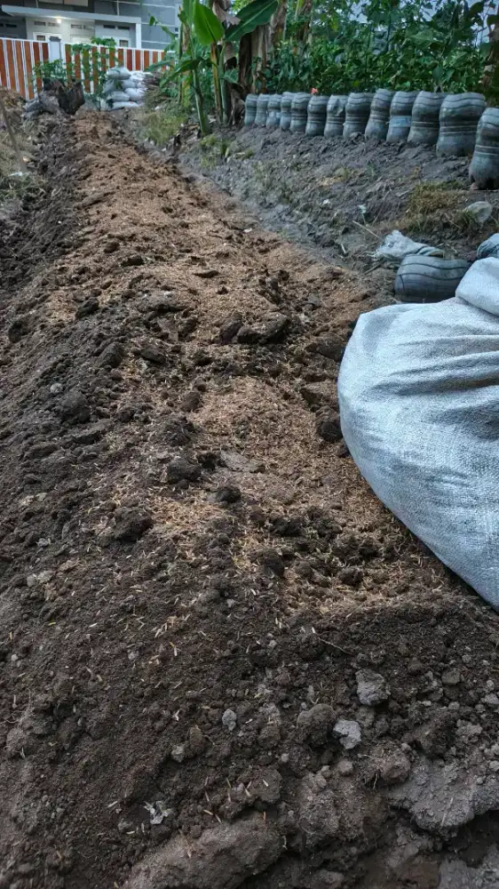 Tenaga tani panggilan, bisa macul, swmprot, dll. badan sehat dan kuat.