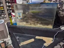 Aquarium ukuran 60