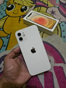 IPhone 12 128GB All White Terawat