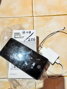 OPPO RENO 12 F (mulus)