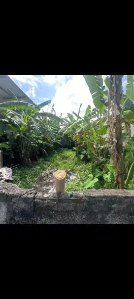 Dijual tanah murah,1,5 are di antasura denpasar akses sepeda motor