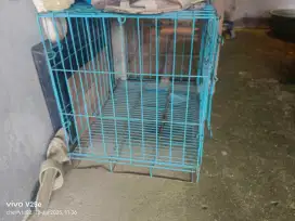 Kandang kucing warna biru