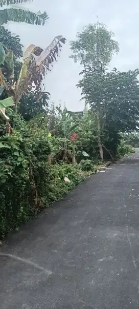 TANAH 1,5 ARE SEDAP MALAM DEKAT SANUR