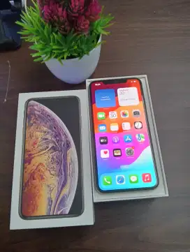 iPhone XSmax 256GB gold ex inter