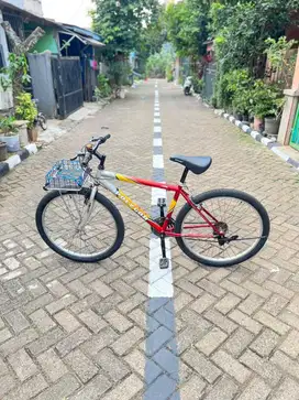 Sepeda polygon mtb bekas dewasa