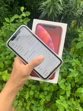 Hp Iphone XR 128gb noken
