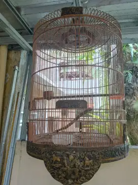 Sangkar murai no.2