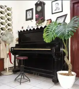 Piano antik piano klasik