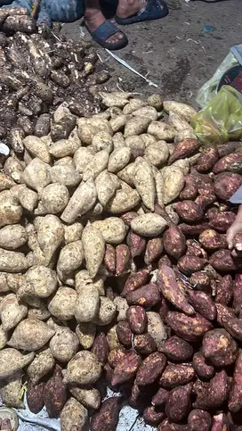 Dibutuhkan karyawan untuk jaga stand di pasar di utamakan yang jujur