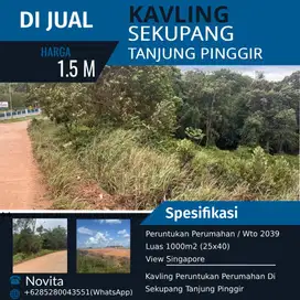 Kavling Peruntukan Perumahan Di Sekupang Tanjung Pinggir