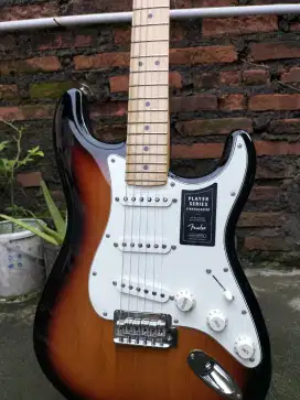 fender player stratocaster not squier
