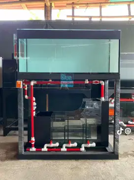 Aquarium Sultan