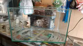 Aquarium 50x30x30 baru