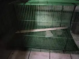 Kandang lipat besi utk anjing, kucing, kelinci
