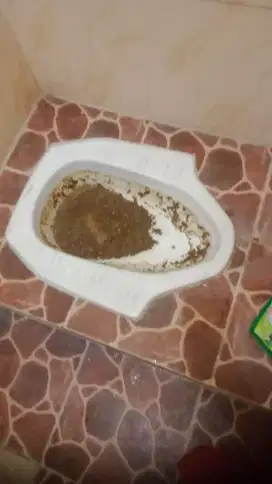 TUKANG WC TUMPAT SALURAN AIR KAMAR MANDI TUMPAT SERVICE SANYO