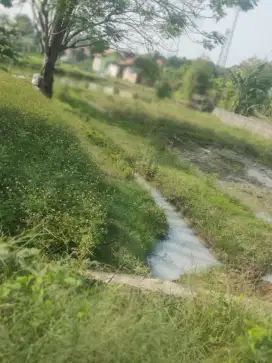 Jual tanah kosong kp pule