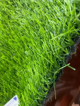 Jual Rumput Sintetis Terbaik dan Termurah