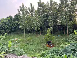 Lowongan Tukang Kebun