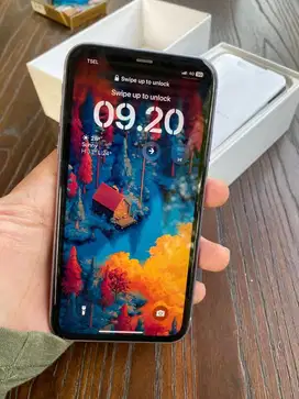 iPhone 11 256 Intern
