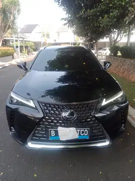 LEXUS UX300e 2022 Listrik