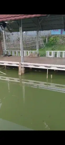 Jual tanah kolam ikan soreang