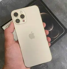 Iphone 12 Pro Max 128gb Gold IBOX Mulus Normal Malang Batu