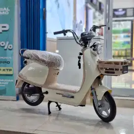 sepeda listrik garansi resmi