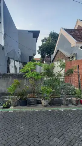 TANAH RUNGKUT MENANGGAL SELATAN STRATEGIS