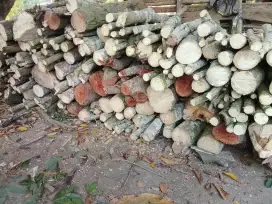 Jual kayu bakar