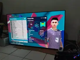 Tv xiaomi 55 ins