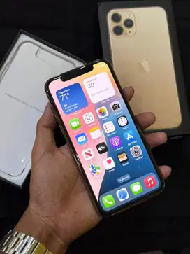 Iphone 11 Pro 256Gb Beacukai