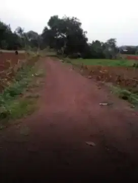 Jual Harga Damai Tanah Kavling 3000m CILEUNGSI Dekat Tm Buah Mekarsari