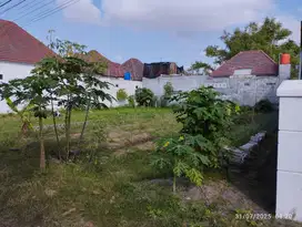 Dijual Cepat tanah mangku jalan cocok untuk Perumahan Langsung Pemilik
