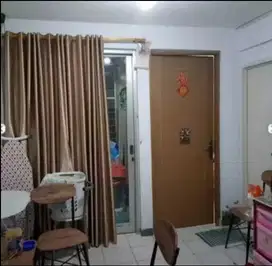 Apartment Palm Mansion (2 BR)