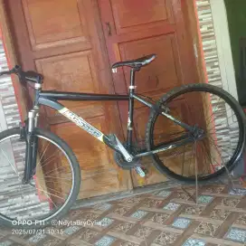 Sepeda gunung ring 26 aloy