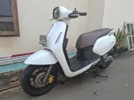 Benelli panarea 2022 pajak hidup