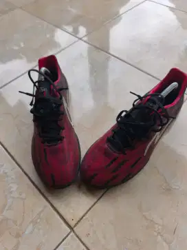 NEGO! Dijual sepatu futsal specs uk 43, no box
