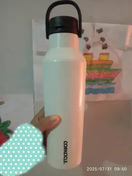 Tumbler Corkcicle second