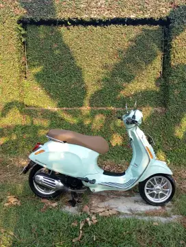 Vesmet primavera istimewa