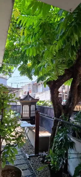 Pegawai Resto Perempuan lulusan SMK tataboga