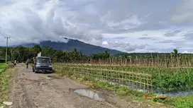 VIEW GUNUNG  | KEBUN MANGGIS DAN SAWAH DI KAWASAN VILA