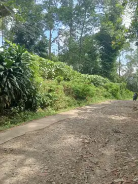 Jual tanah pinggir jalan ciwidey