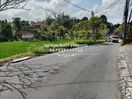 Tanah Premium Disewakan Murah Luas 12,7 Are di Ubud Gianyar Bali