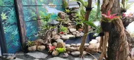 Tukang Kolam Ikan Koi Minimalis